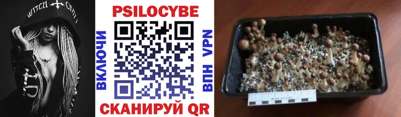 Галлюциногенные грибы GOLDEN TEACHER  Первомайск 